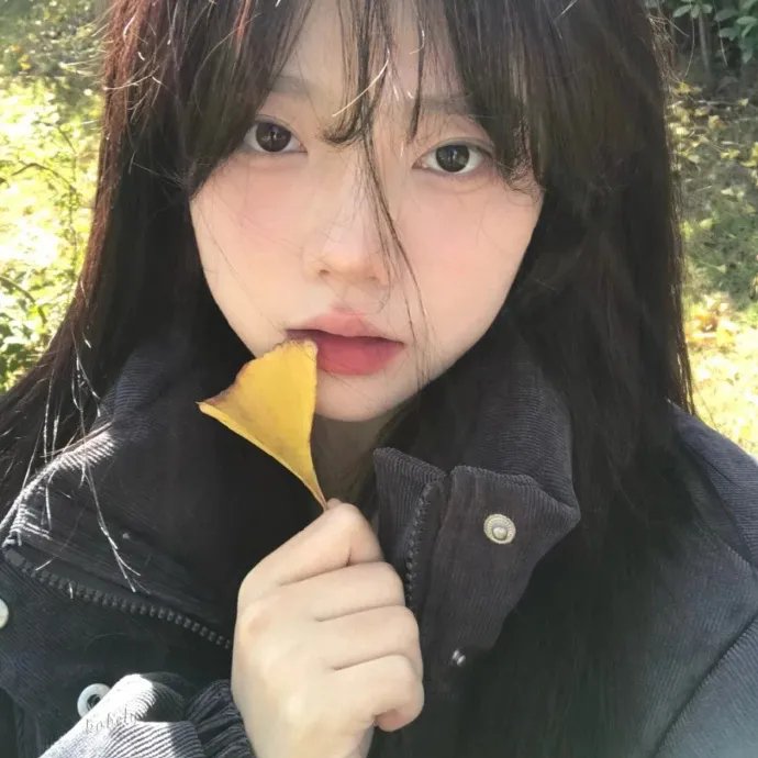 苹果小镇的国王