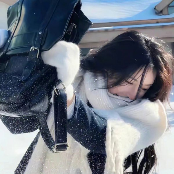 戊子风雪同仁堂